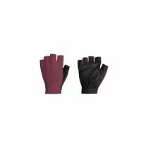 Gant été HighSupport BBB