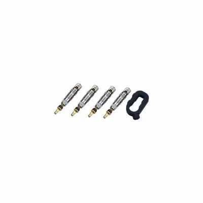 Obus de valve tubless Valvecore set 4 pcs BBB