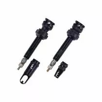 ValvesTubeless obus démontable 2 pcs  BBB