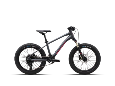 V�lo Enfant POLYGON Xtrada 20\ 