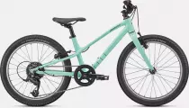 Vélo Enfant SPECIALIZED JETT 20 Gloss Oasis / Forest Green