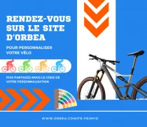 VTT &eacute;lectrique Orbea Wild LT M-TEAM RS Mullet 2027